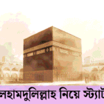 আলহামদুলিল্লাহ নিয়ে স্ট্যাটাস