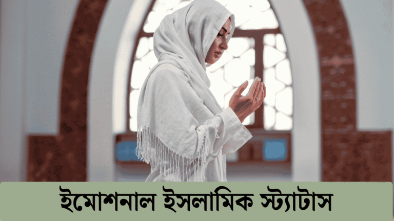 ইমোশনাল ইসলামিক স্ট্যাটাস