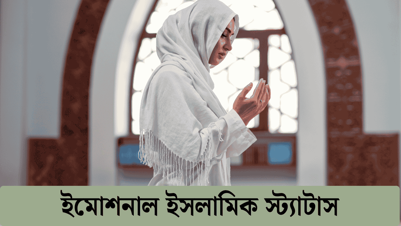 ইমোশনাল ইসলামিক স্ট্যাটাস