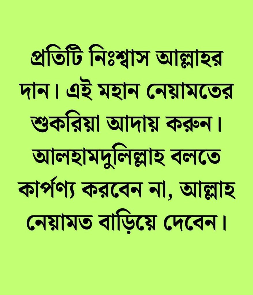 ইসলামিক স্ট্যাটাস