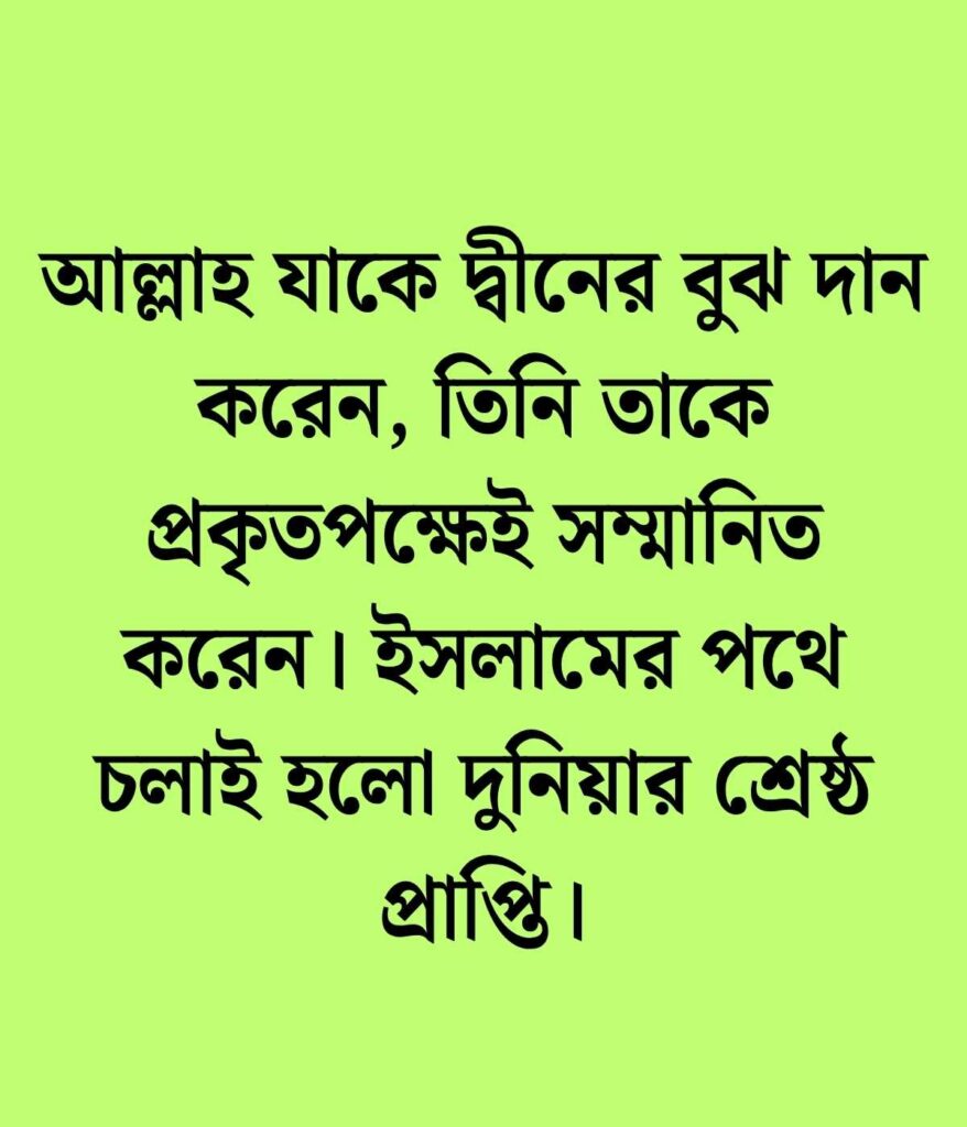 ইসলামিক স্ট্যাটাস পিক