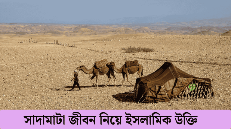 সাদামাটা জীবন নিয়ে ইসলামিক উক্তি
