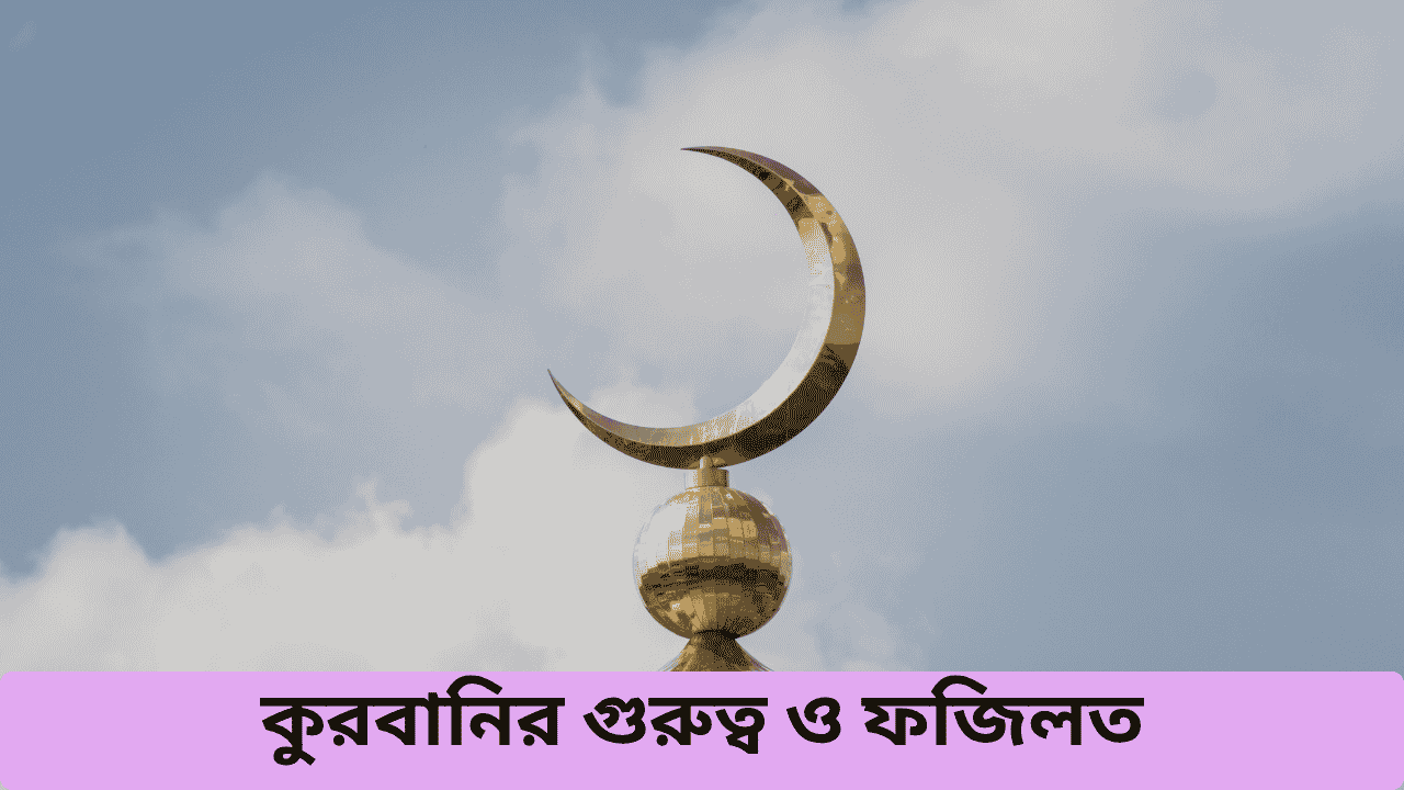কুরবানির গুরুত্ব ও ফজিলত