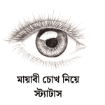 মায়াবী চোখ নিয়ে স্ট্যাটাস