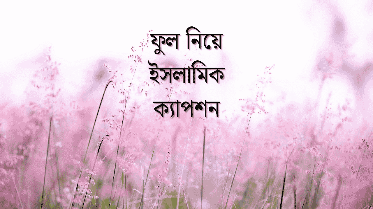 ফুল নিয়ে ইসলামিক ক্যাপশন
