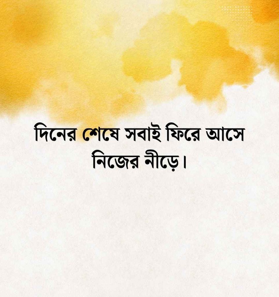 সূর্য অস্ত নিয়ে ক্যাপশন